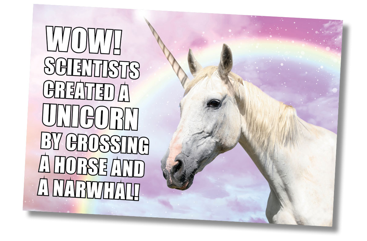 Meme with the text: Wow scientists created a unicorn by crossing a horse and a narwhal