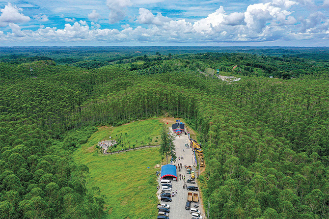 Enlargeable bird&apos;s eye view of a site surrounded by trees