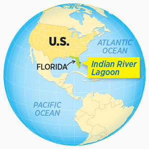 World map highlighting the Indian River Lagoon in Florida