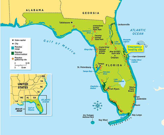 Enlargeable map of Florida showing the manatee range and habitat locations